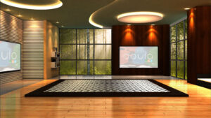 Doula virtual set 2