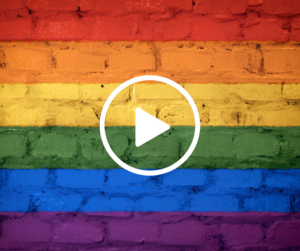 LGBT+ webinarer